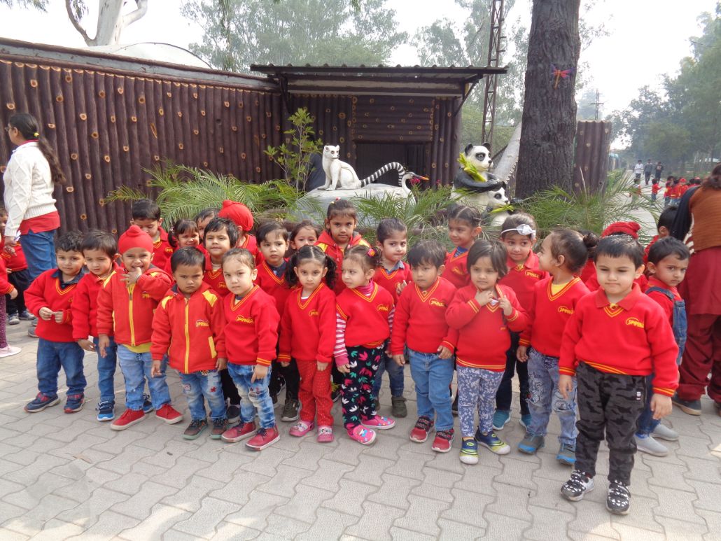 Springles Pre School