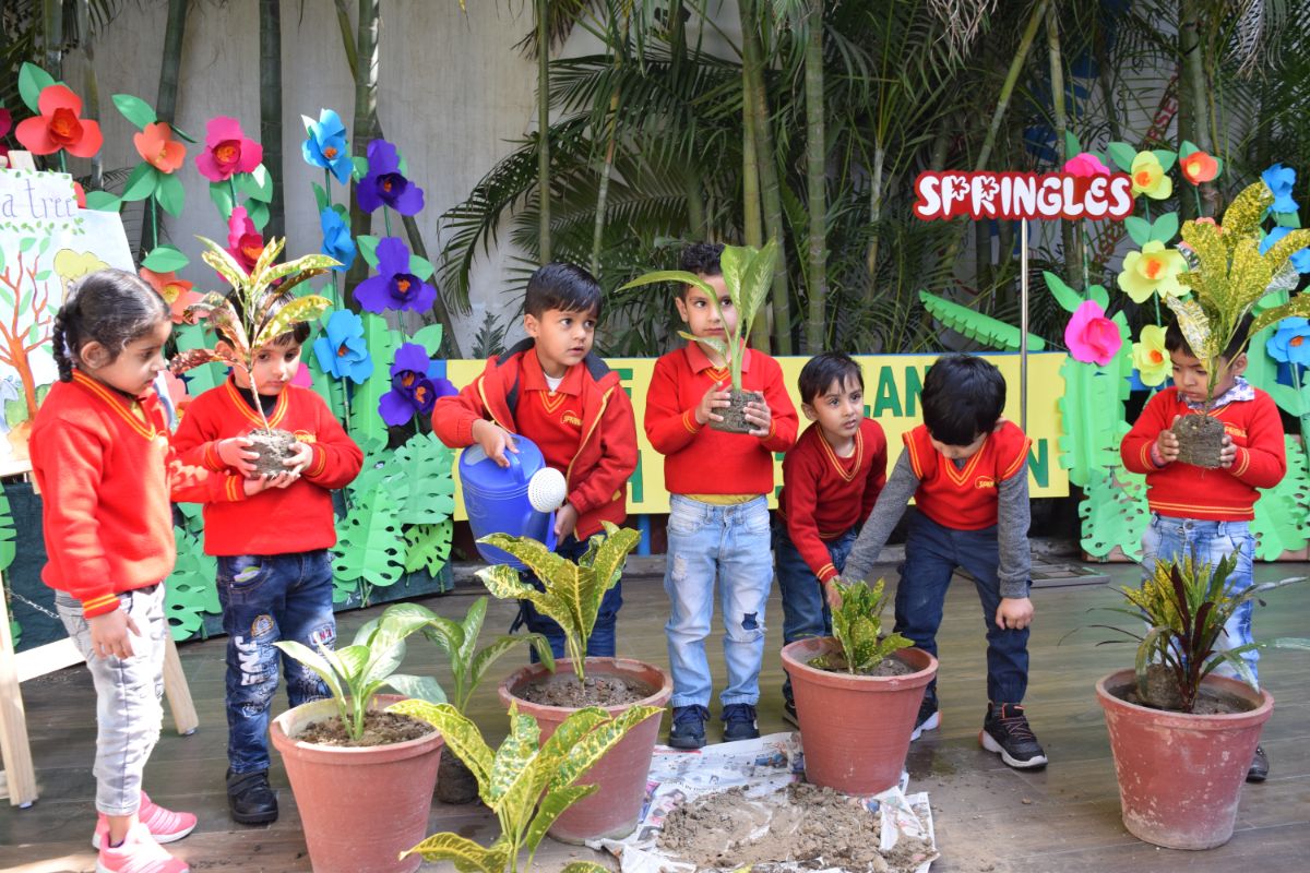 Springles Pre School