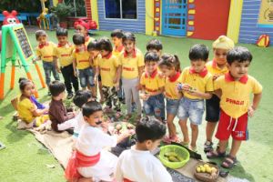Springles Pre School